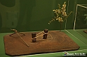 VBS_1432 - Castello di Miradolo - Mostra Oltre il giardino l'Abbecedario di paolo Pejrone